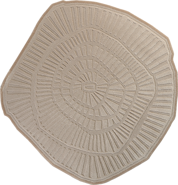 Ferreira De Sa Anemone Bisque