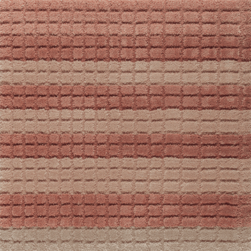 Ferreira de Sa Fresque Jaipur