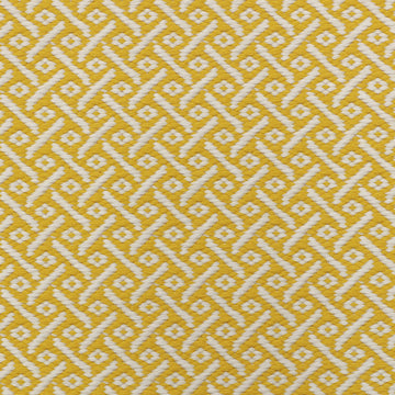 Ferreira de Sa Costa Nova Sun