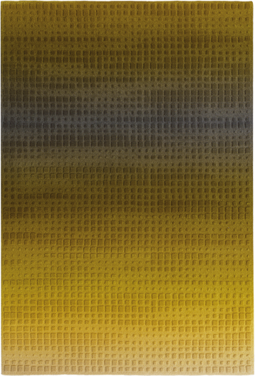 Ferreira de Sa Illusion Oasis