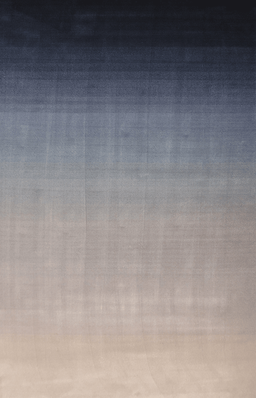 Ferreira de Sa Gradient Pigeon