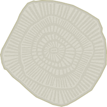 Ferreira De Sa Anemone Sage