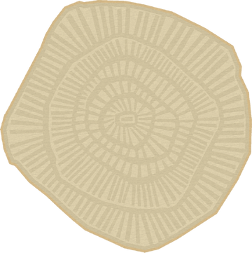 Ferreira De Sa Anemone Gold