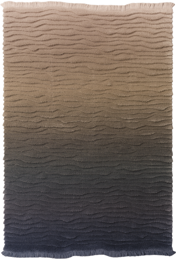 Ferreira de Sa Bedforms Blue Desert