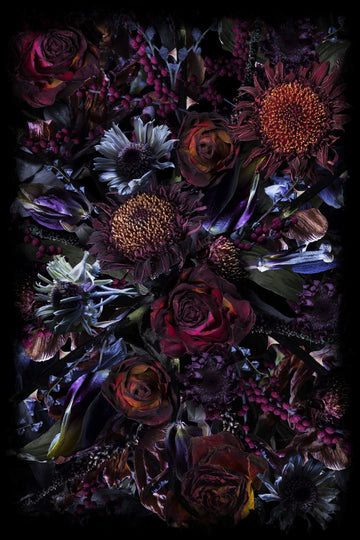 Laagpolig vloerkleed Moooi Carpets Fool's Paradise