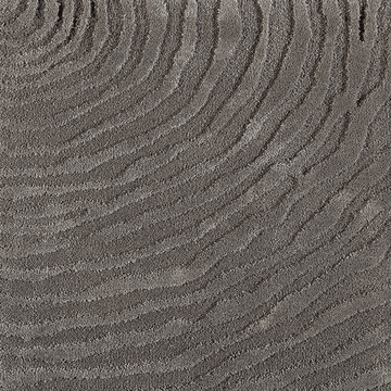 Ferreira de Sa Whorl Falcon