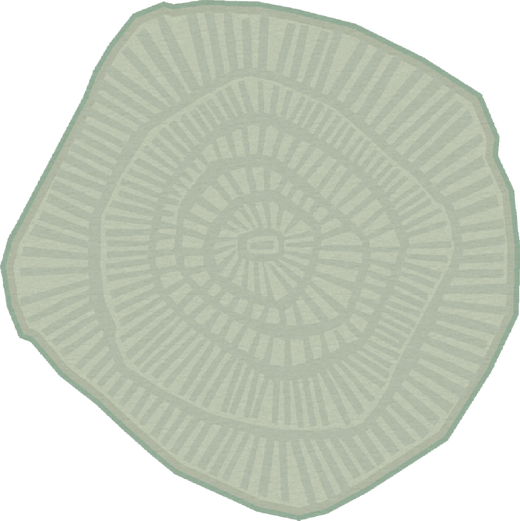 Ferreira De Sa Anemone Sea Salt