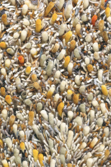 Hoogpolig vloerkleed Brink en Campman Spring 59103