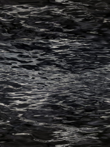 Laagpolig vloerkleed Moooi Carpets Fluid Oil