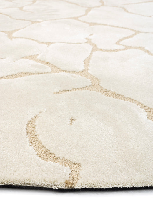 Ferreira de Sa Slam Earth