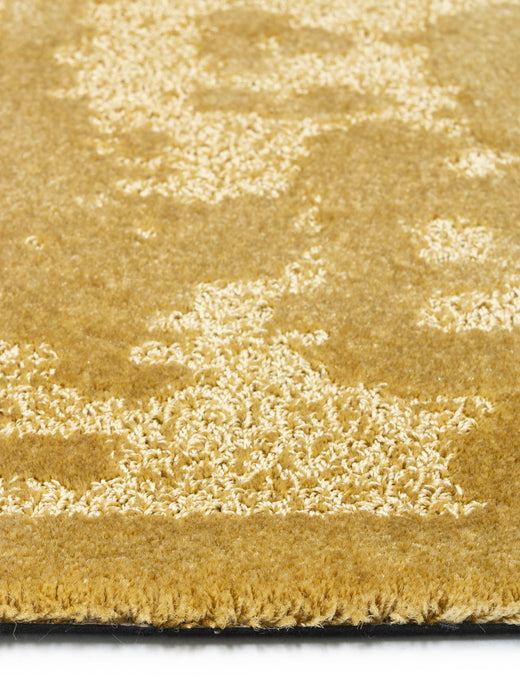 Ferreira de Sa Dash Adapted Sunrise