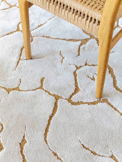 Ferreira de Sa Slam Earth