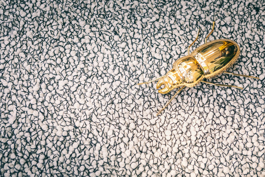 Fingers Crossed Terrazzo