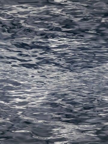 Laagpolig vloerkleed Moooi Carpets Fluid Water