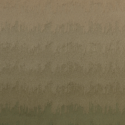 Ferreira de Sa Diffuse Eco Coral Reefs