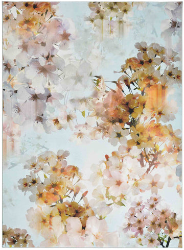 Vloerkleed Ted Baker Vanilla Pale Blue 53908