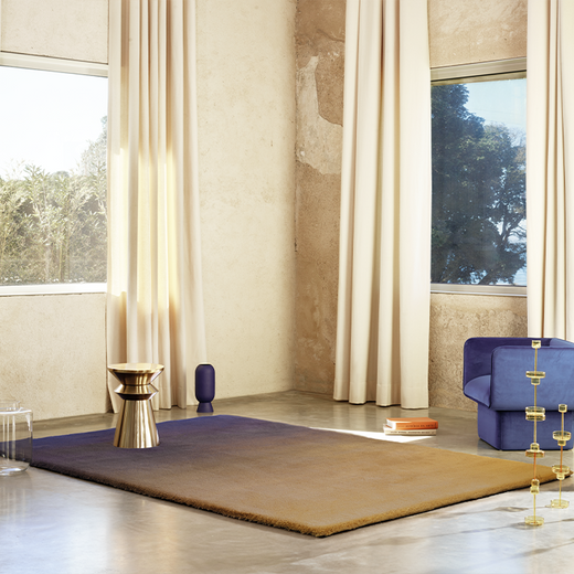 Ferreira de Sa Gradient Iris