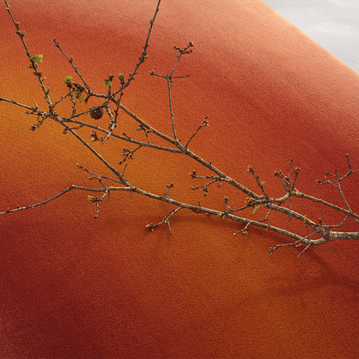 Ferreira de Sa Off Center Pink Citrus