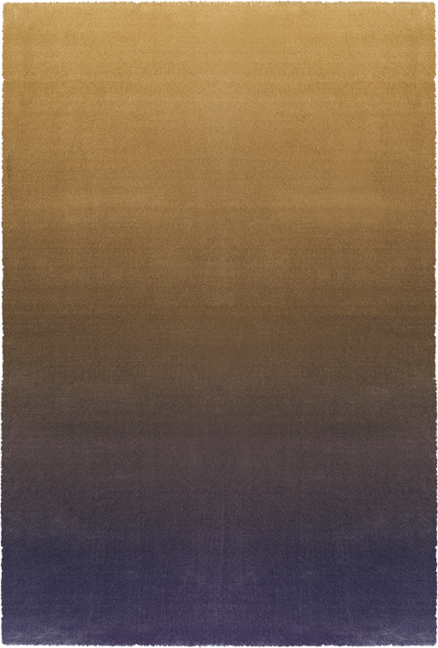 Ferreira de Sa Gradient Iris