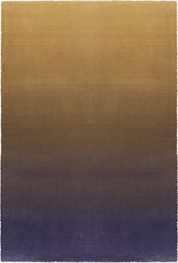 Ferreira de Sa Gradient Iris