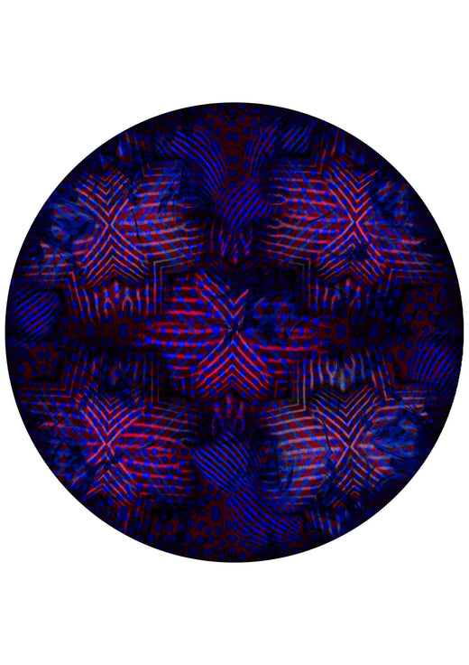 Laagpolig vloerkleed Moooi Carpets Umbrella Squid