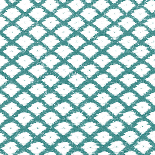 Ferreira de Sa Snow Clean Water