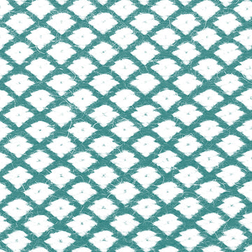 Ferreira de Sa Snow Clean Water