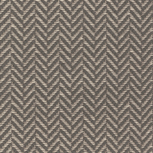 Ferreira de Sa Romue Gris