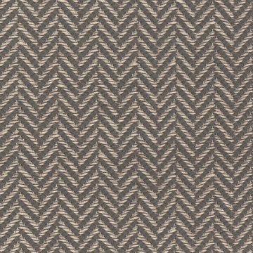 Ferreira de Sa Romue Gris