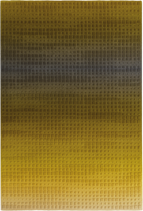 Ferreira de Sa Illusion Oasis