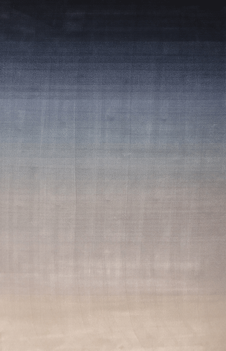 Ferreira de Sa Gradient Pigeon