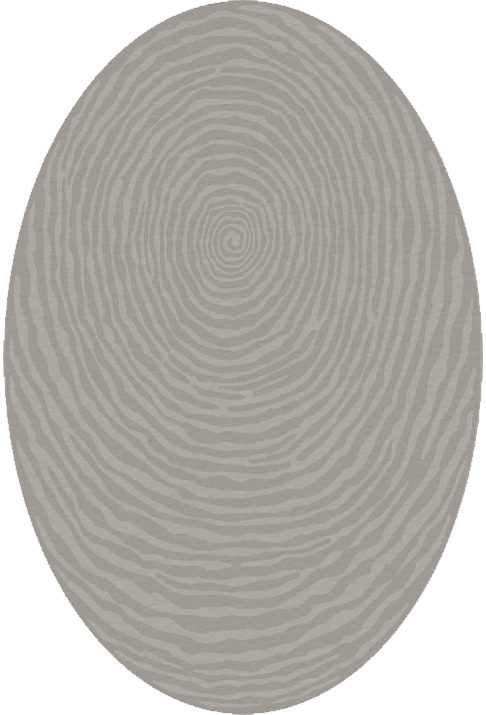 Ferreira de Sa Whorl Falcon