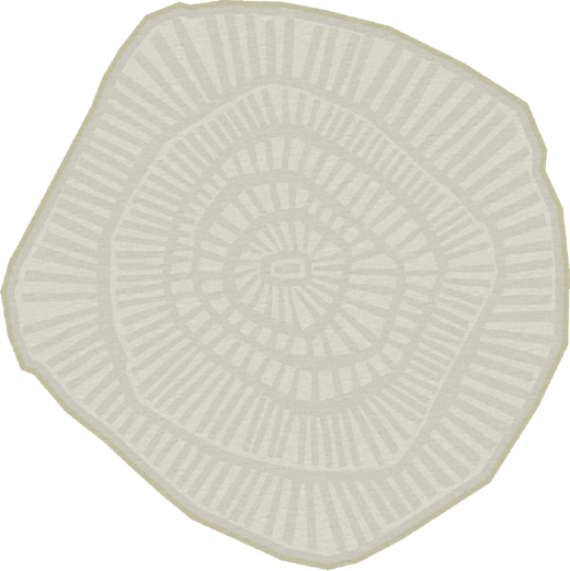 Ferreira De Sa Anemone Sage