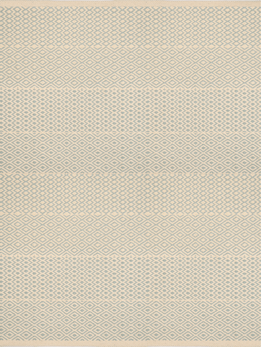 Ferreira de Sa Auge And Nasus Chinchilla