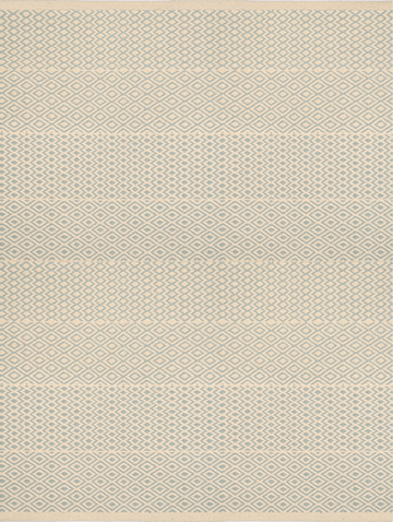 Ferreira de Sa Auge And Nasus Chinchilla