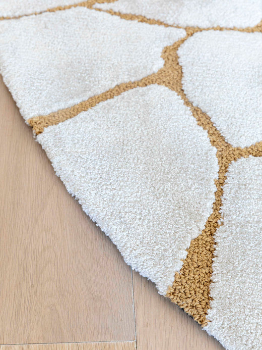 Ferreira de Sa Slam Earth