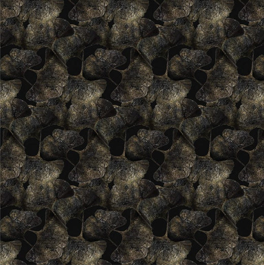 Laagpolig vloerkleed Moooi Carpets Ginko Leaf Black