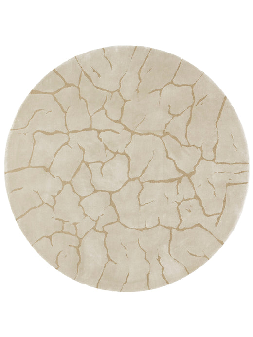 Ferreira de Sa Slam Earth