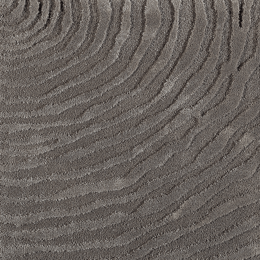 Ferreira de Sa Whorl Falcon