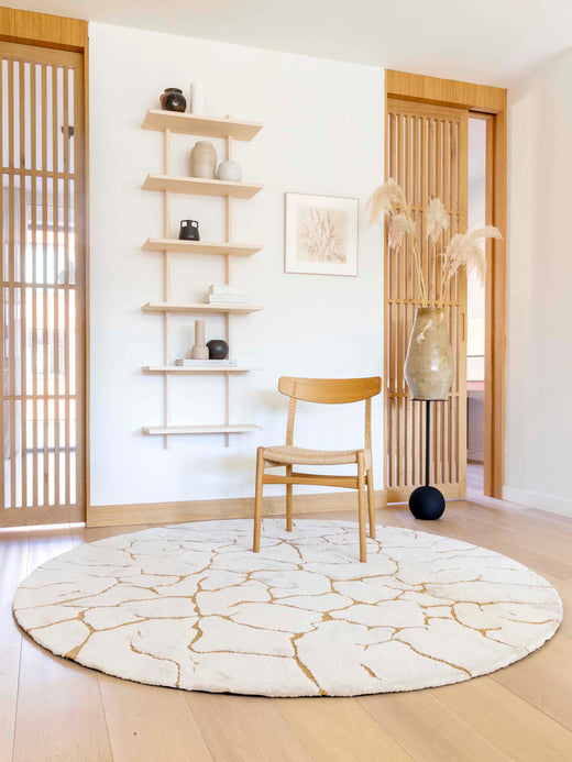 Ferreira de Sa Slam Earth