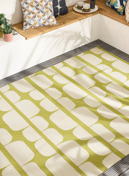 Scion Kivi Sunshine outdoor 424906