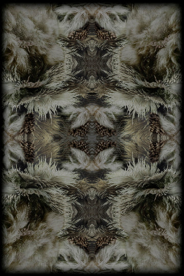 Laagpolig vloerkleed Moooi Carpets Blushing Sloth