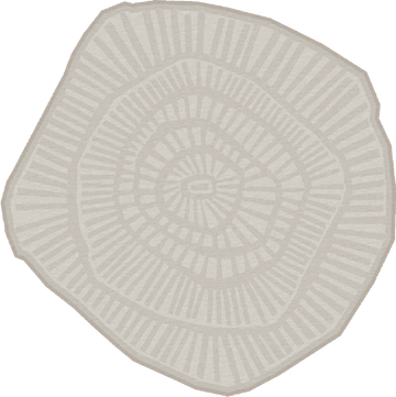 Ferreira De Sa Anemone Dove